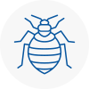 Bed Bug Extermination In Rainhill