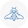 Bee Nest Removal Rainhill