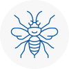 Rainhill Hornet Nest Removals