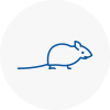 Mice Exterminators In Rainhill
