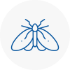 Moth Control Specialists In Rainhill
