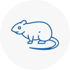 Rat Control Rainhill