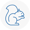Rainhill Rodent Removals